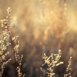 日本一道高清一区二区三区
